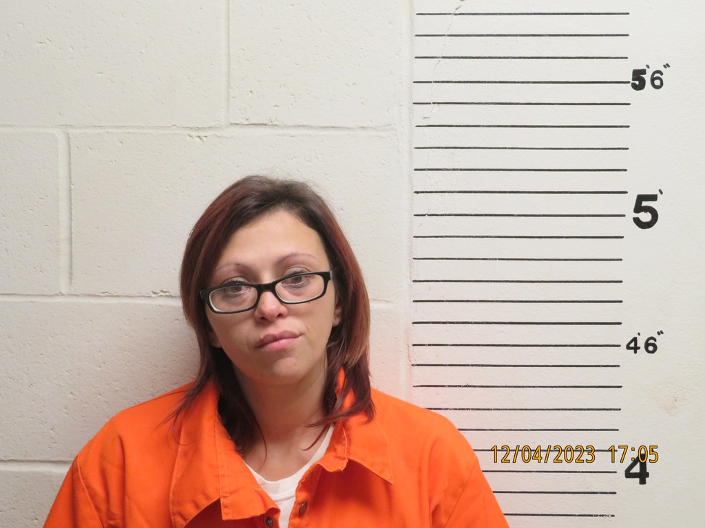 Official site for Norton County Kansas Inmates